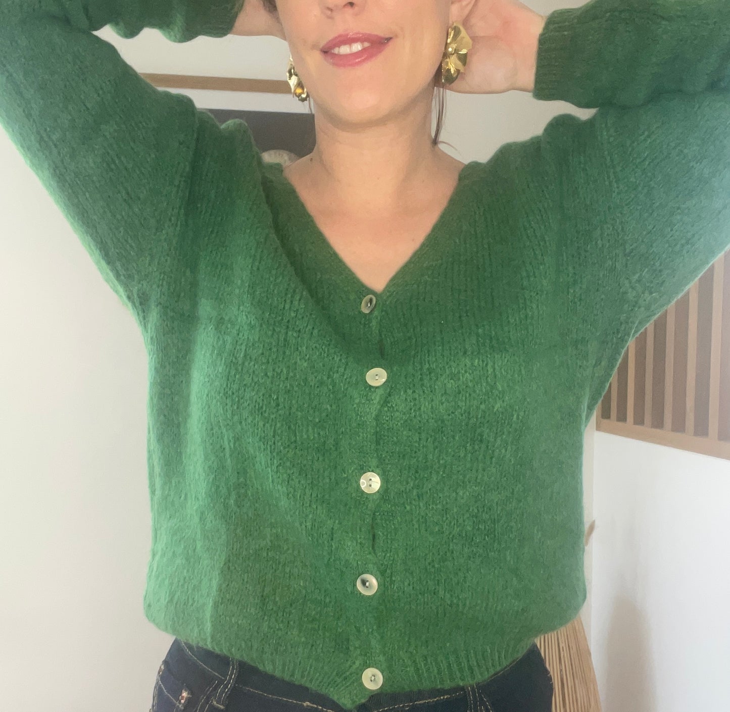 Cardigan MOHAIRA Vert