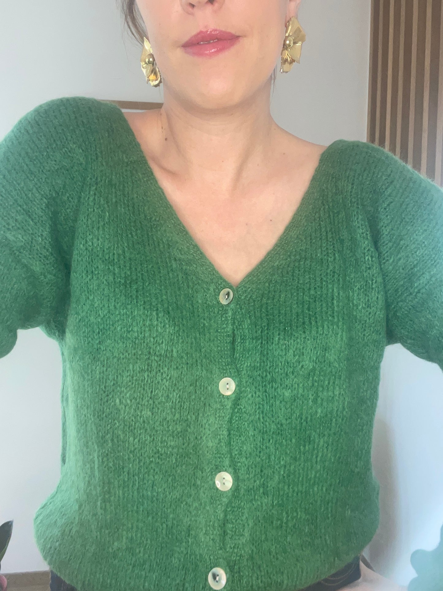 Cardigan MOHAIRA Vert